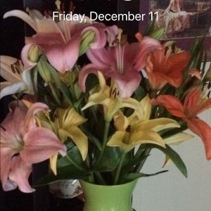 Meet your Posher, Delia